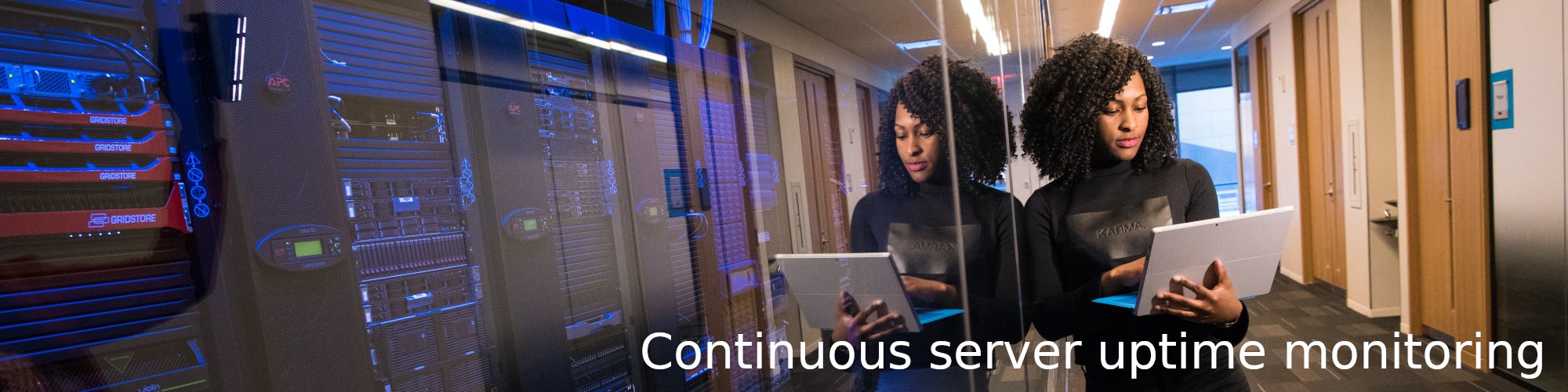 Continuous server uptime monitoring